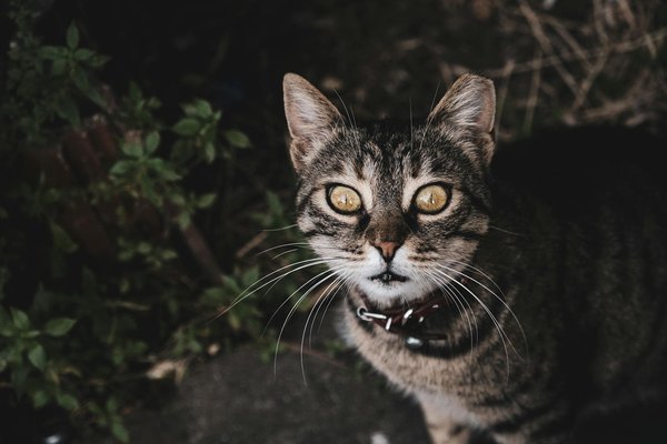 Autoaufbereitung selber machen